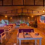The Hill Glamping Alpehytte *