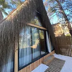 The Hill Glamping