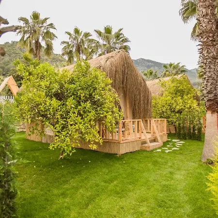 The Hill Glamping * Çıralı