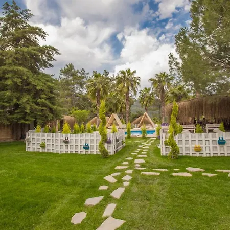 샬레 The Hill Glamping