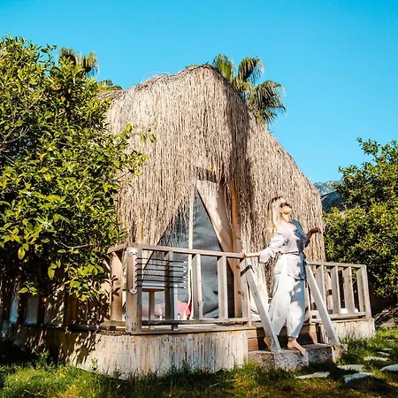 샬레 The Hill Glamping