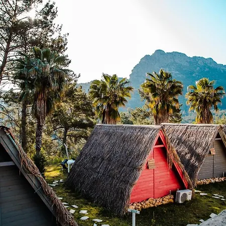 샬레 The Hill Glamping