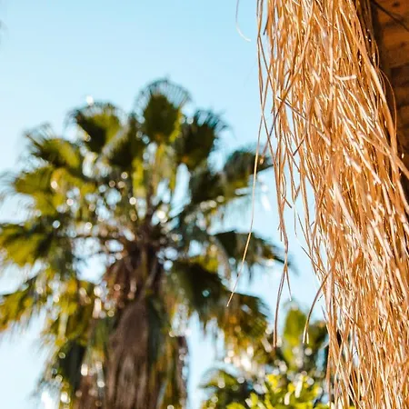 The Hill Glamping 샬레 Çıralı