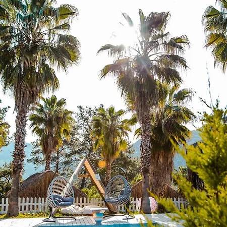 샬레 The Hill Glamping