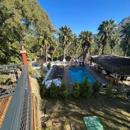 The Hill Glamping 샬레 Çıralı