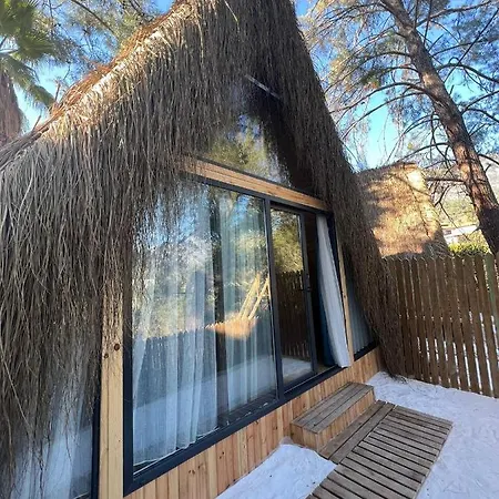 The Hill Glamping