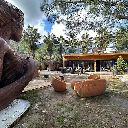 The Hill Glamping