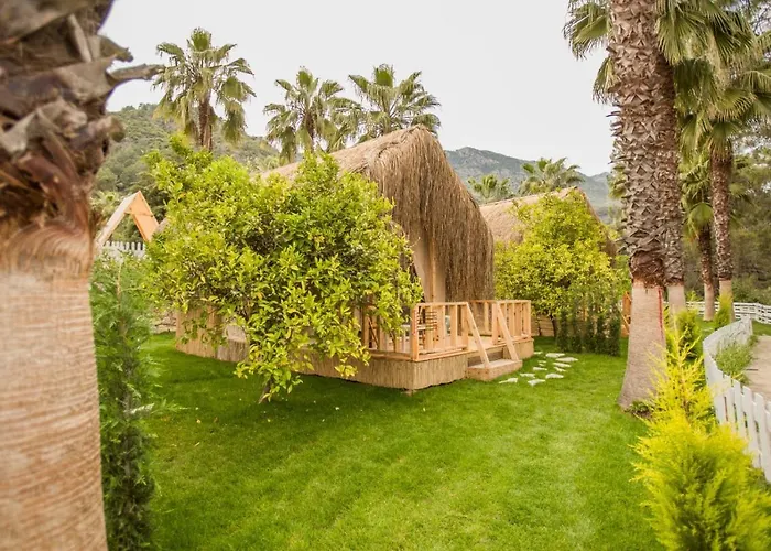 The Hill Glamping * Çıralı