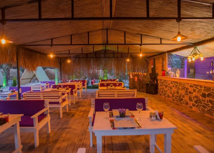 The Hill Glamping Chalet *