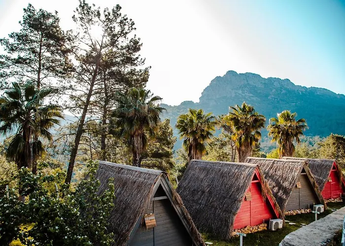 The Hill Glamping * Çıralı