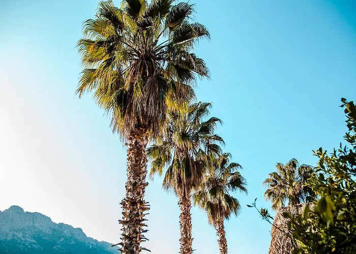 Chalet The Hill Glamping Çıralı