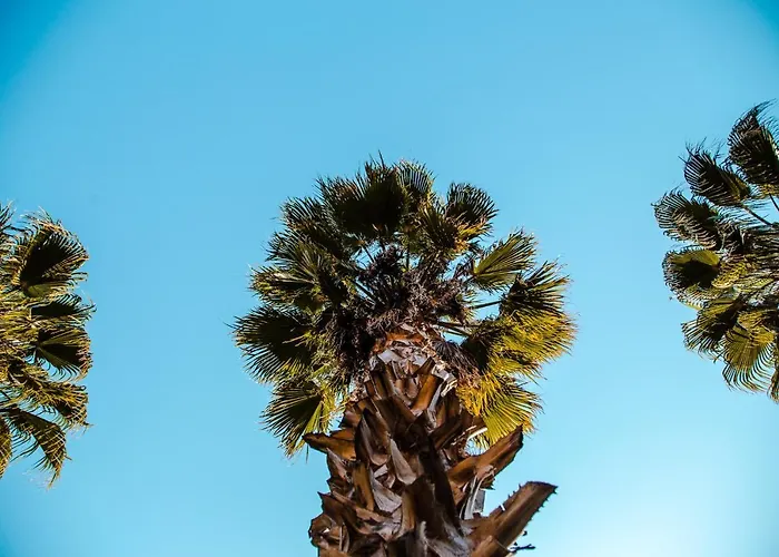 The Hill Glamping Çıralı