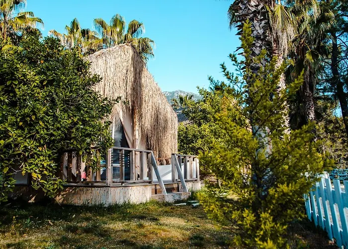 Chalet The Hill Glamping