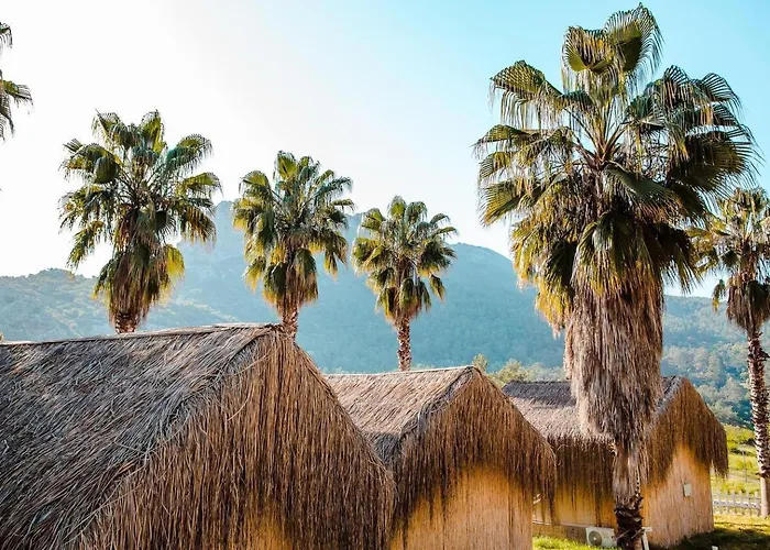 Chalet The Hill Glamping Çıralı