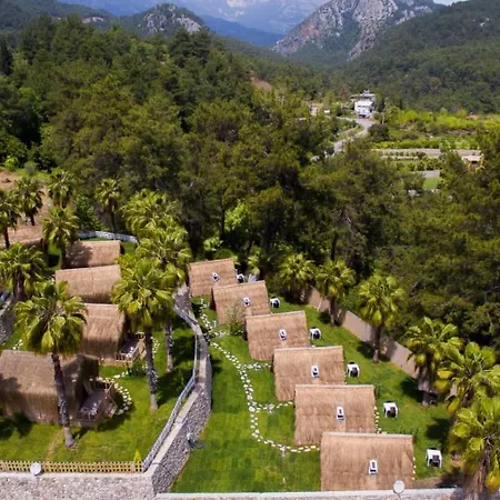 The Hill Glamping 木屋