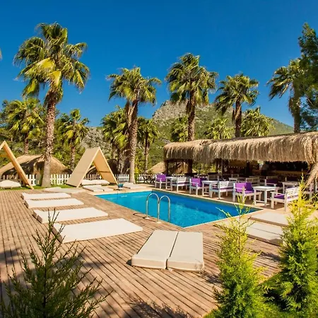 The Hill Glamping 木屋 *