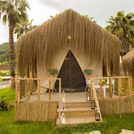 The Hill Glamping בקתה