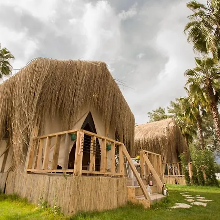 The Hill Glamping *