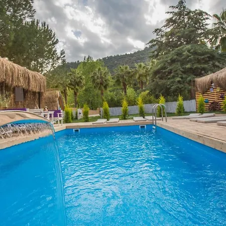 The Hill Glamping בקתה