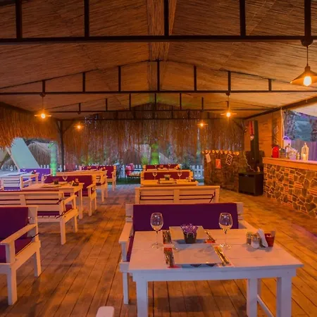 The Hill Glamping בקתה *