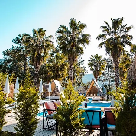 木屋 The Hill Glamping *