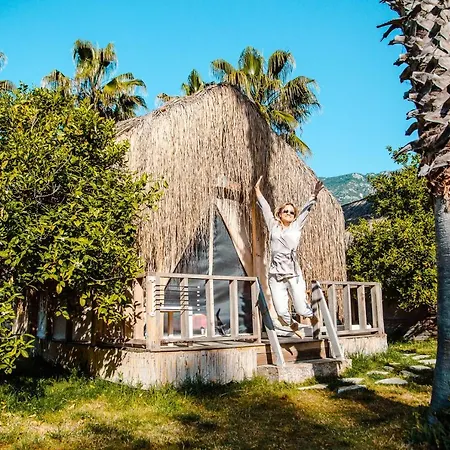 The Hill Glamping