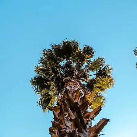 The Hill Glamping Çıralı