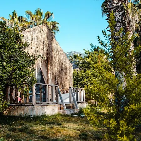 בקתה The Hill Glamping