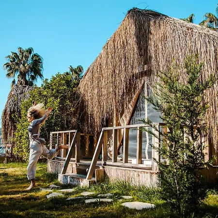 The Hill Glamping בקתה
