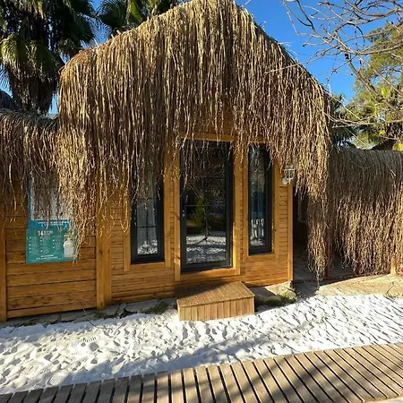 The Hill Glamping Dağ evi