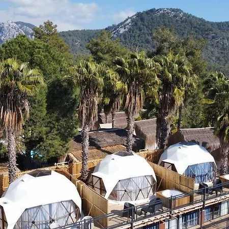 The Hill Glamping *