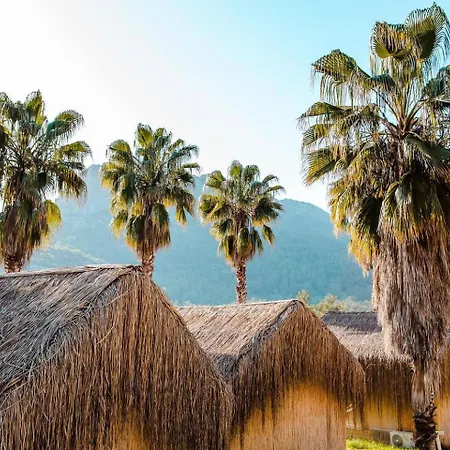 木屋 The Hill Glamping Çıralı